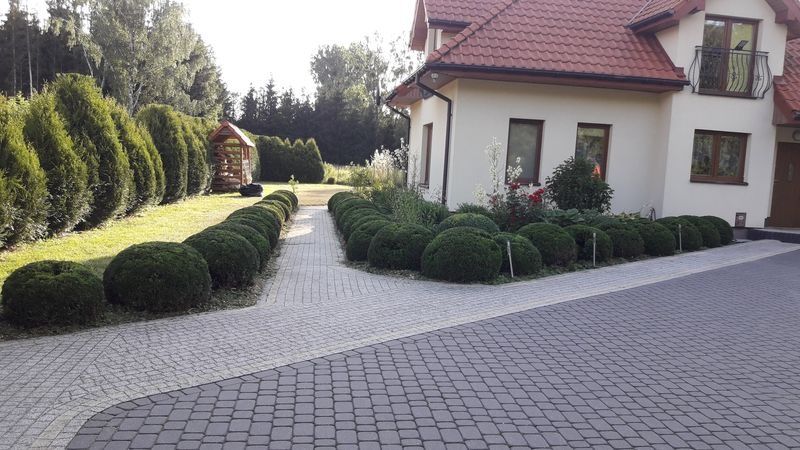 Realizacja Zielony Fryzjer: uformowane rośliny i zadbany ogród, zdjęcie 235