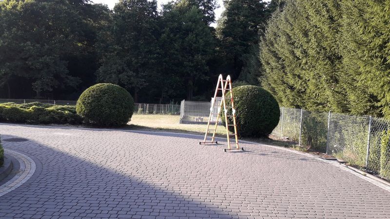Realizacja Zielony Fryzjer: uformowane rośliny i zadbany ogród, zdjęcie 236