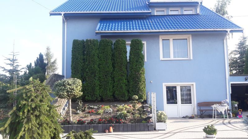 Realizacja Zielony Fryzjer: uformowane rośliny i zadbany ogród, zdjęcie 241