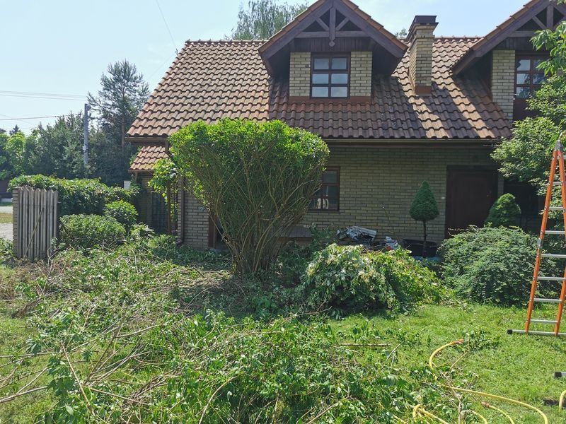 Realizacja Zielony Fryzjer: uformowane rośliny i zadbany ogród, zdjęcie 327