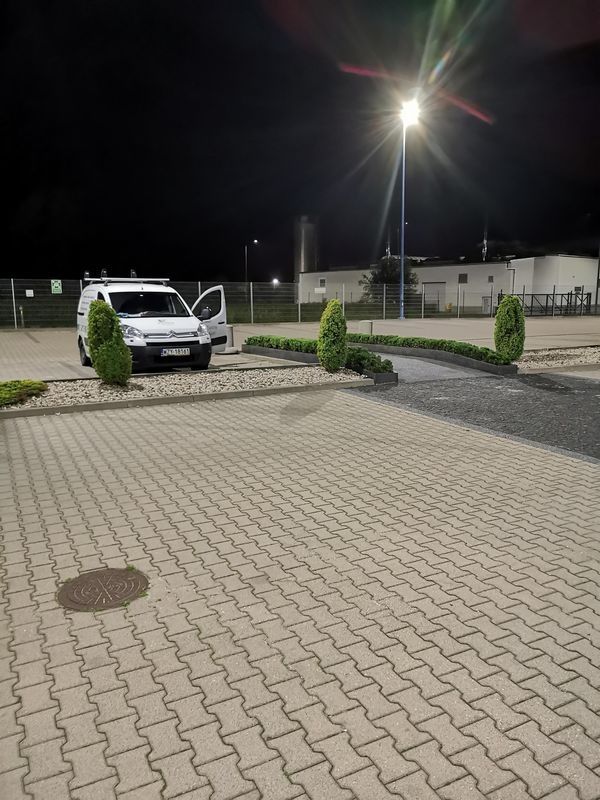 Realizacja Zielony Fryzjer: uformowane rośliny i zadbany ogród, zdjęcie 330