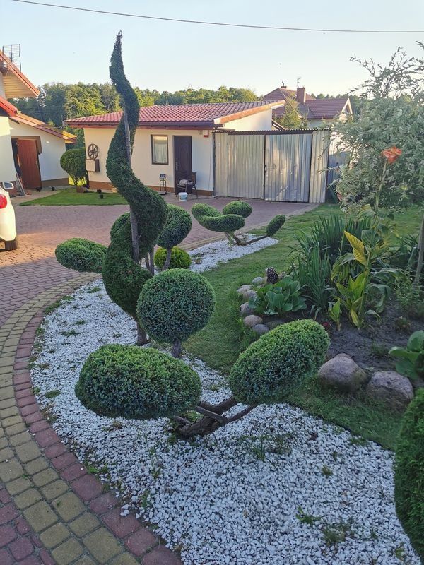 Realizacja Zielony Fryzjer: uformowane rośliny i zadbany ogród, zdjęcie 344