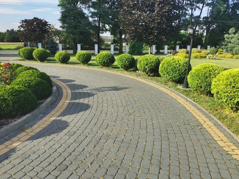 Realizacja Zielony Fryzjer: uformowane rośliny i zadbany ogród, zdjęcie 354