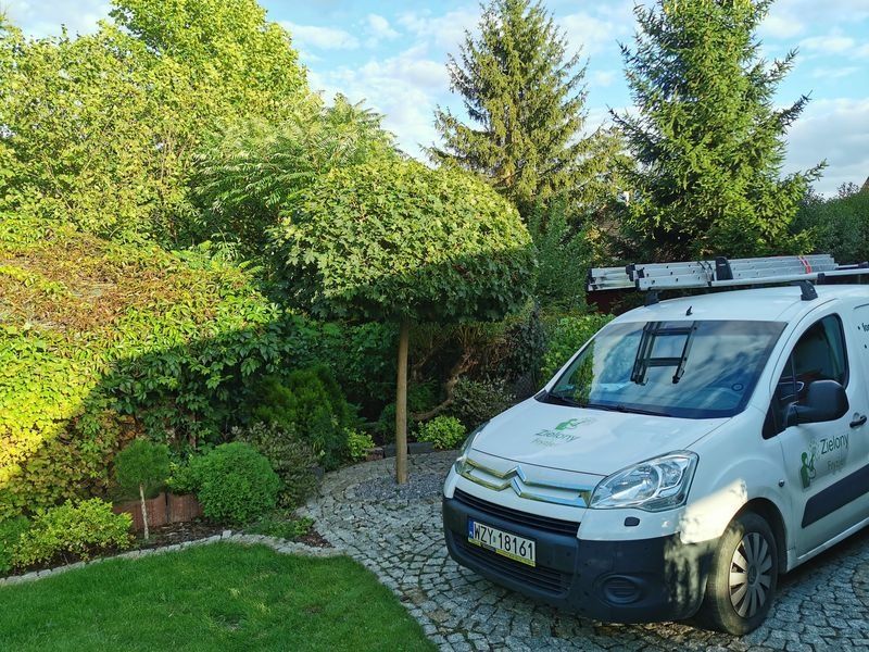Realizacja Zielony Fryzjer: uformowane rośliny i zadbany ogród, zdjęcie 378