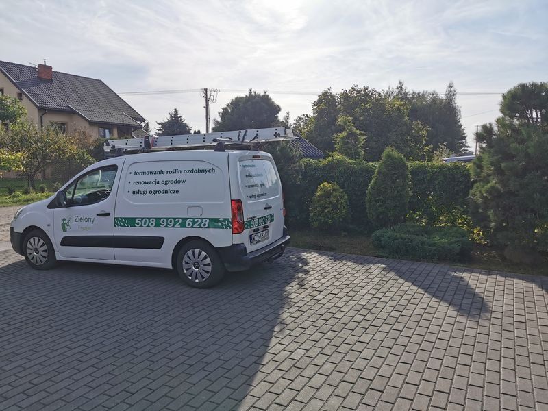 Realizacja Zielony Fryzjer: uformowane rośliny i zadbany ogród, zdjęcie 386